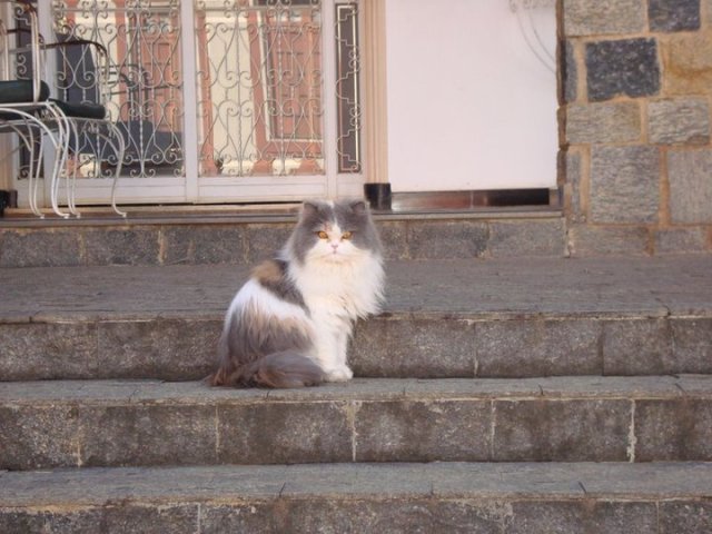 150546_170059256348077_100000320122384_423021_7770283_n