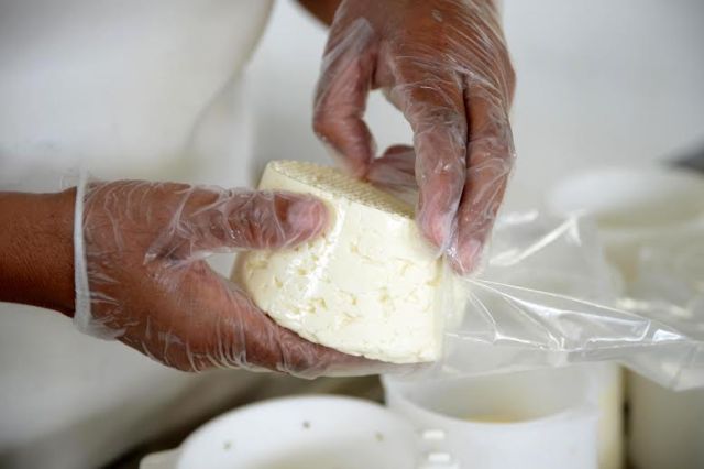 Produção de queijo pela agricultura familiar.Data: 09-02-17Local: VespasianoFoto: Omar Freire/Imprensa MG