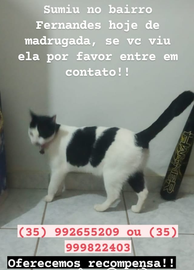 4608b13a-8619-448b-bf59-345e664212fb