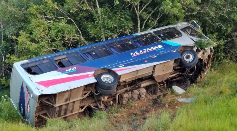 d5930475-556d-4797-88ea-8d216d3a8abf