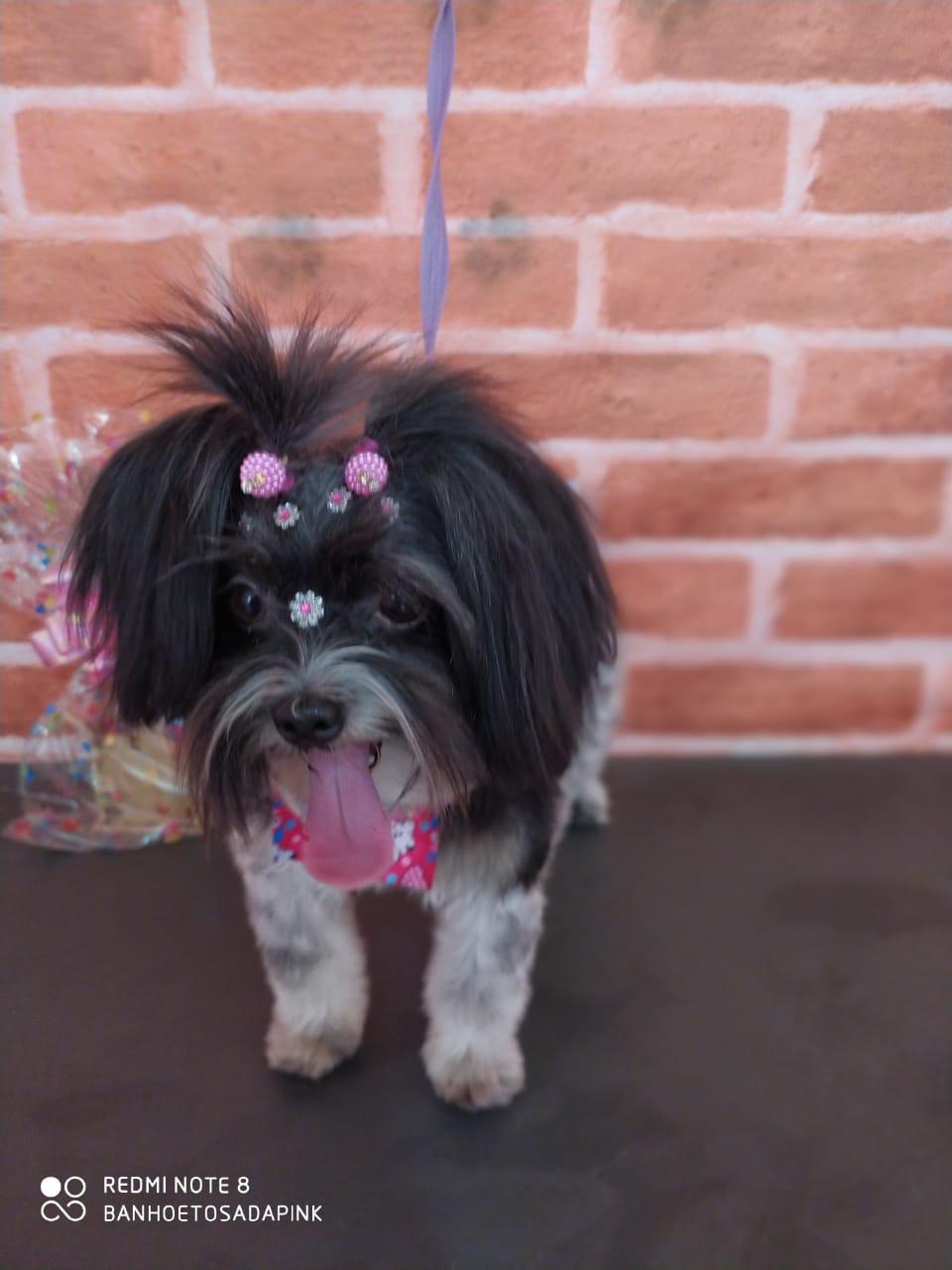 e0005499-593a-4ea6-94c8-913cdcea3112