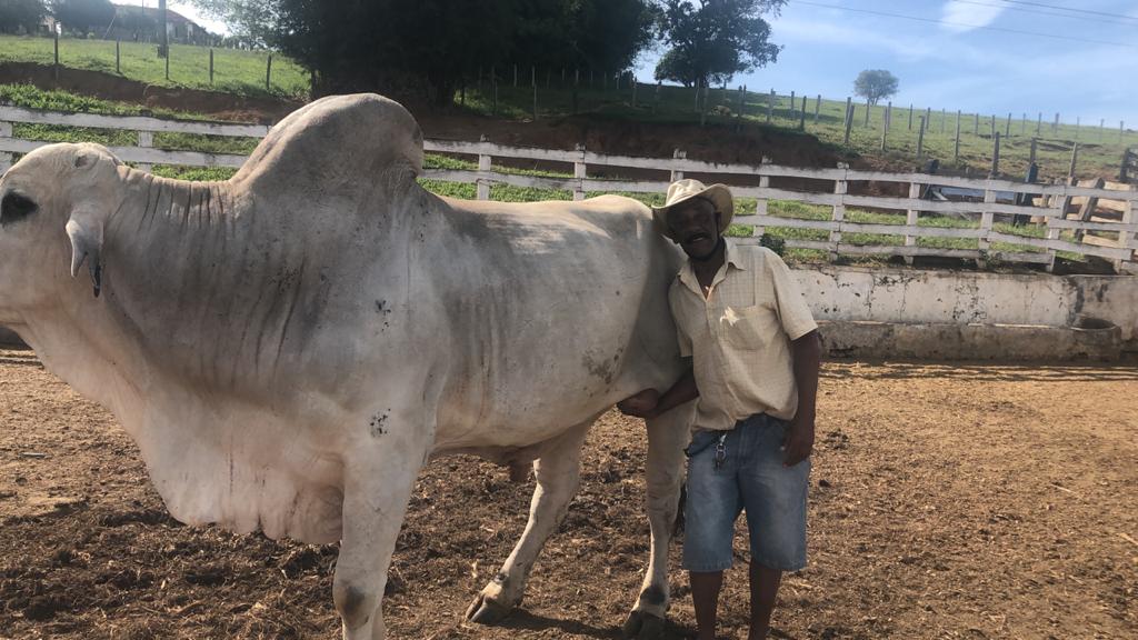 ef9d045c-e772-4c63-94f0-a34d949bfefb