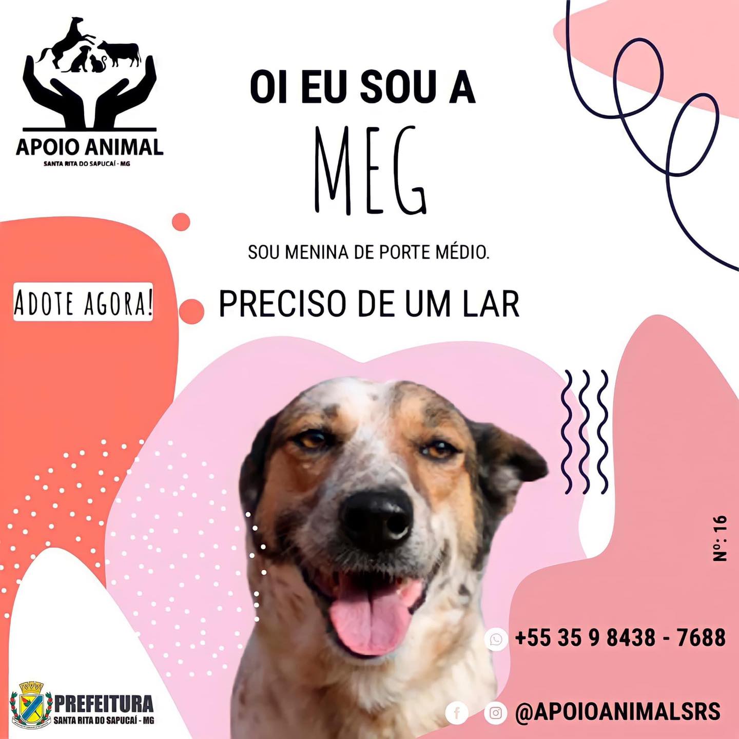 179368233_4482666911767093_1347429385627598734_n