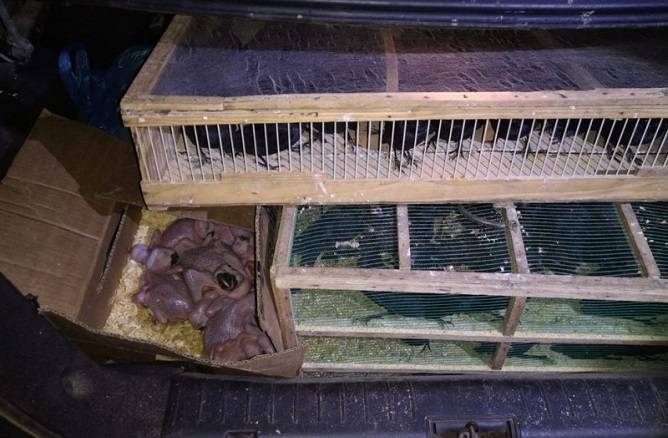 img20210717194956destaqueBlog