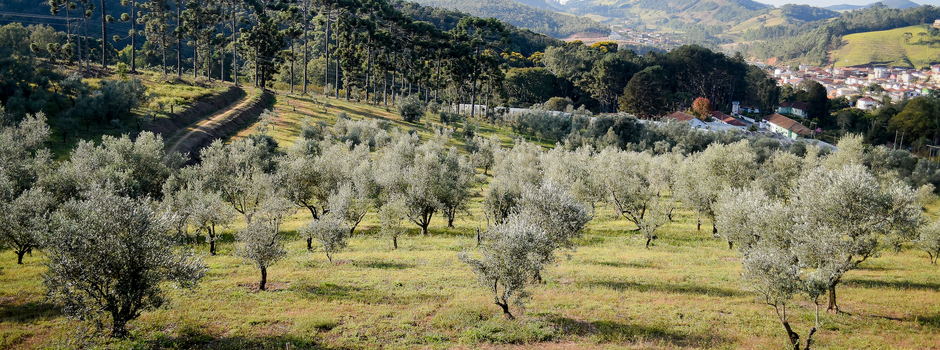 DSC_7473-_foto_Maria_Eduarda_