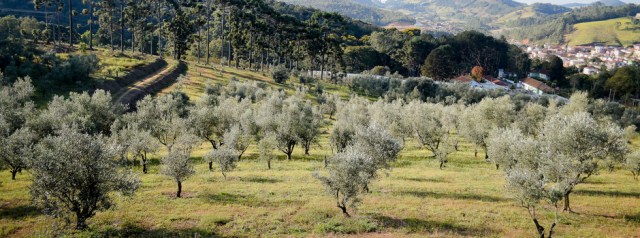 DSC_7473-_foto_Maria_Eduarda_