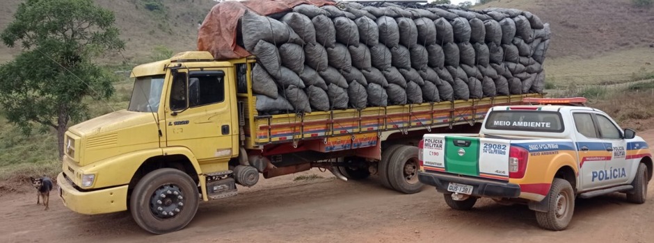 OperaçãoMataAtlântica_DivulgaçãoMP