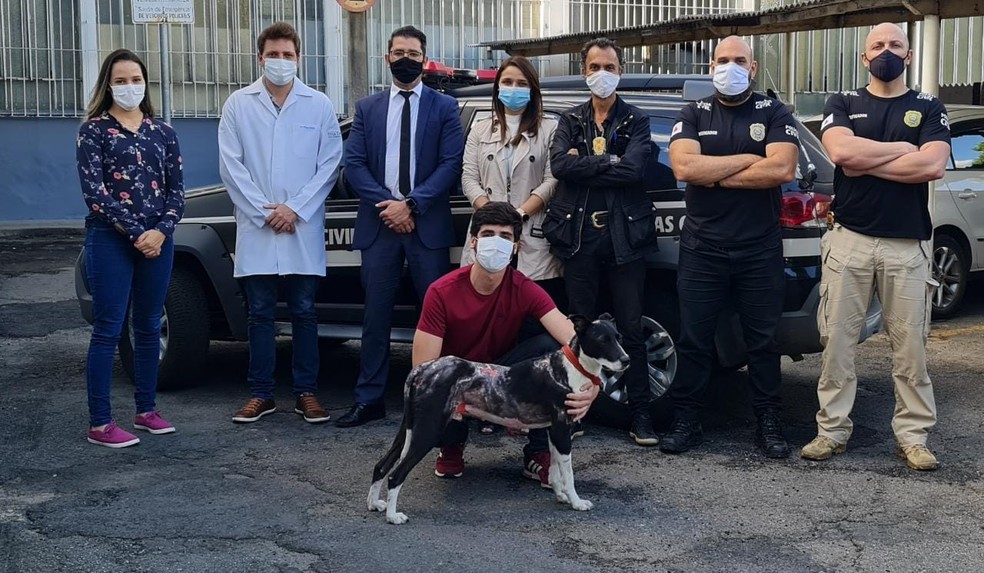 whatsapp-image-2021-09-01-at-17.52.11