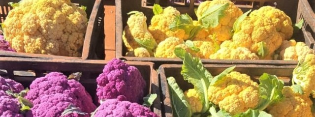 couve-flor_colorida