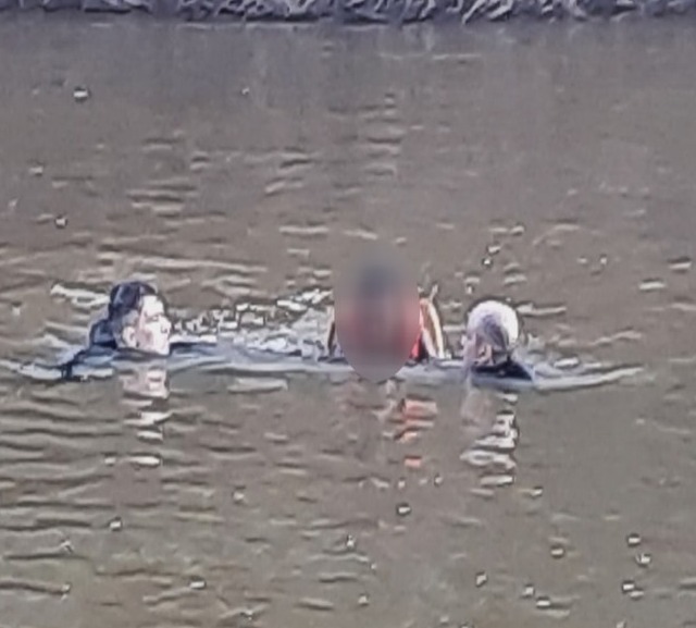 fb8f414d-901a-4100-ba8d-fbfdda94c9f4