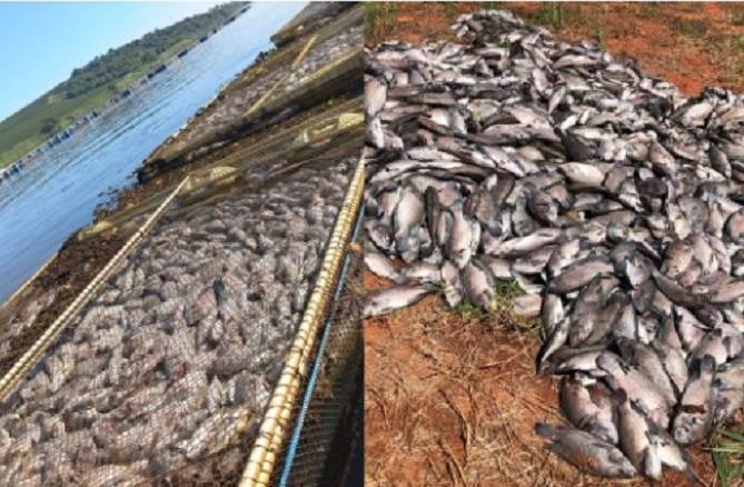 img20220508101559destaqueBlog