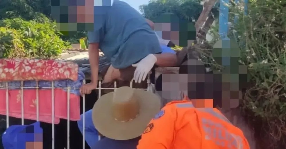 285636449-356779899884698-3791537624529305361-n-1-