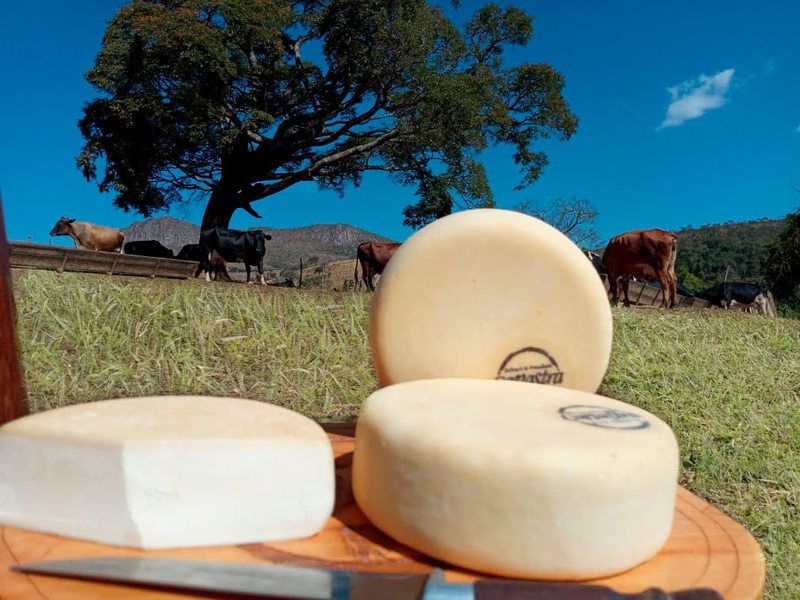 content_qma_canastra_22-6-22