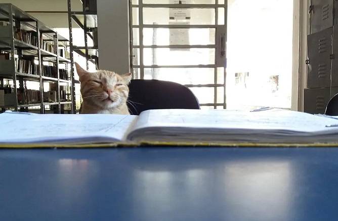 img20220708155212destaqueBlog