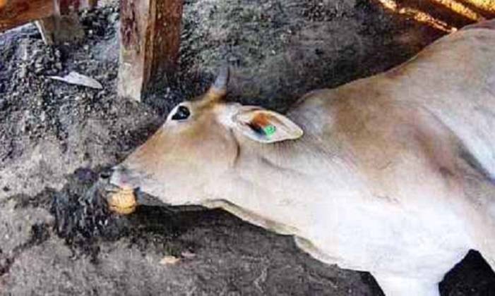 img20220808165634destaqueBlog