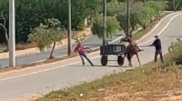 agride-cavalo-boa-esperanca