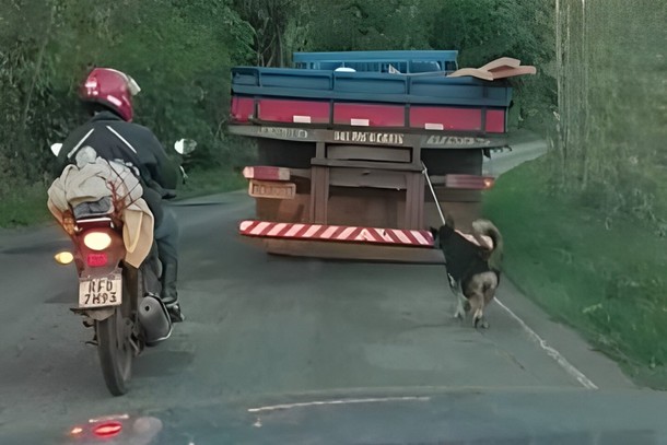 cachorro-e-amarrado-em-para-choque-de-caminhao-motorista-foi-preso-633f4e2d86674