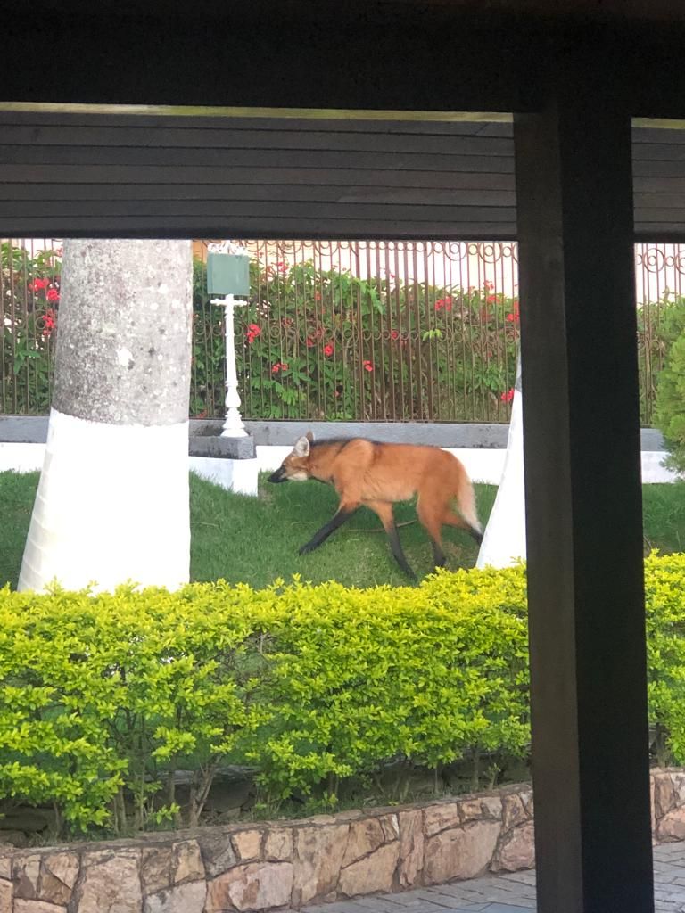 editor-635934bbba247