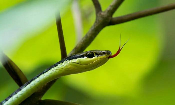 img20221104155433destaqueBlog